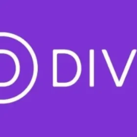 Divi Theme
