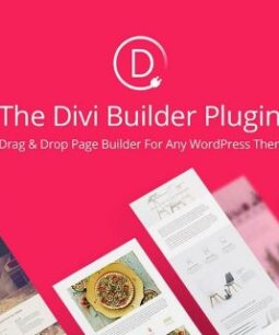 Elegant Themes Divi Builder