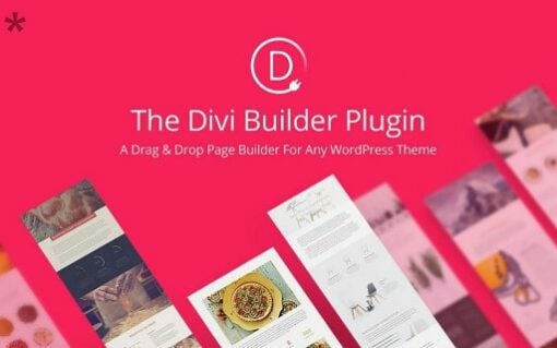 Elegant Themes Divi Builder 4.24.2 1