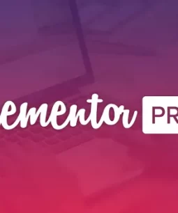 Elementor Pro