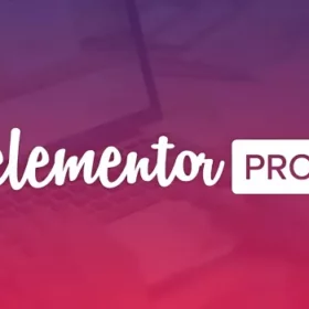 Elementor Pro