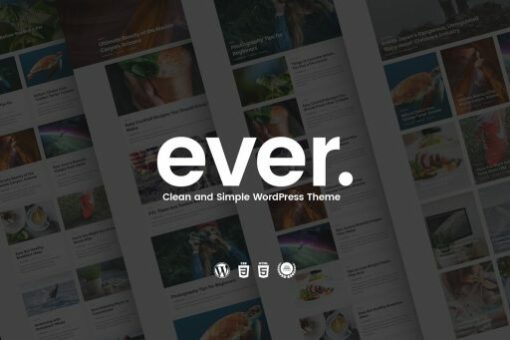 Ever – Clean and Simple WordPress Theme 1.2.3 1