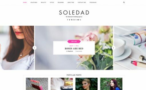 Soledad – Multi-Concept Blog/Magazine/News AMP WordPress Theme 8.4.9 1