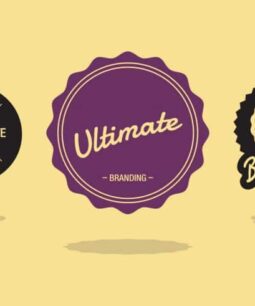 WPMU DEV Ultimate Branding 3.4.24