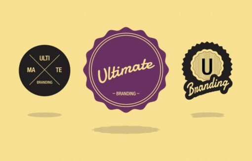 WPMU DEV Ultimate Branding 3.4.17 1