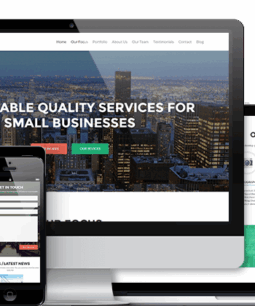 Tema WordPress Zelle Pro (Zerif Pro) 2.1.6