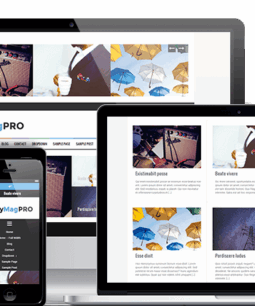 Tema FlyMag Pro para WordPress 2.0.6