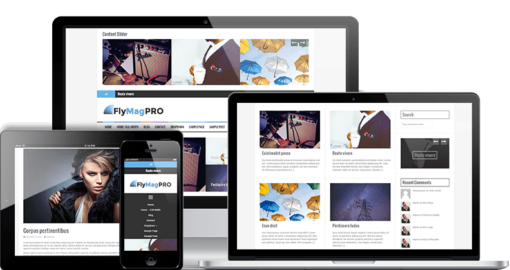 FlyMag Pro WordPress Theme 2.0.6 1