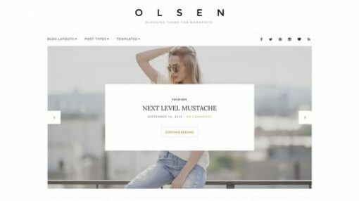 Olsen WordPress Theme By CSS Igniter 2.8.3 1