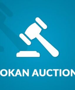 Dokan – Simple Auctions Integration 1.5.5