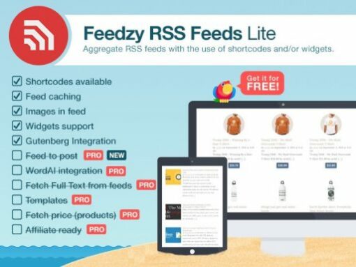 Feedzy RSS Feeds WordPress Plugin 2.4.3 | Personal Plan 1