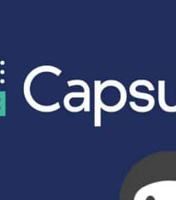 Ninja Forms Capsule CRM 3.4.6