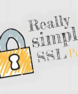 Really Simple Security Pro