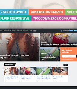 MyThemeShop Dividend WordPress Theme 1.2.5
