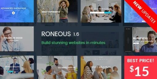 Roneous – Creative Multi-Purpose WordPress Theme 2.0.5 1