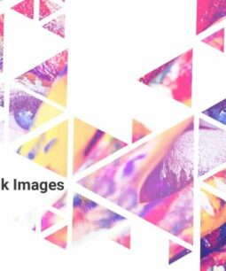 Pixabay - Import Free Stock Images into WordPress 1.0.0