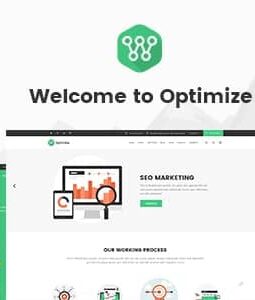 Optimize - SEO, Digital Marketing, Social Media Theme 2.0