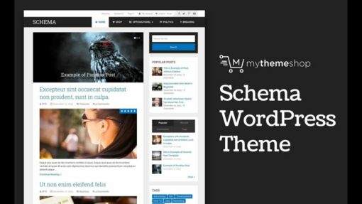 MyThemeShop Schema WordPress Theme 3.9.23 1