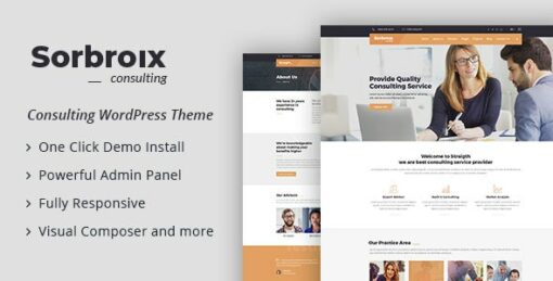 Sorbroix: Business Consulting WordPress Theme 1.0 1