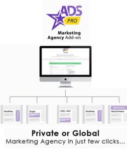 Complemento Ads Pro - Agência de Marketing WordPress 1.1