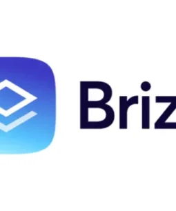 Brizy Pro