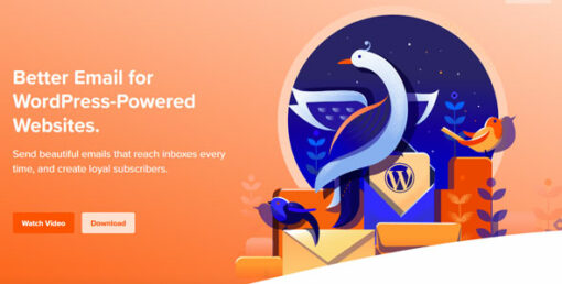 Mailpoet Premium – Better Email WordPress Plugin 4.48.1 1