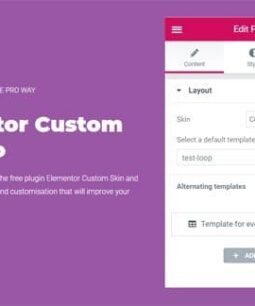 Elementor Custom Skin Pro 4.2.1