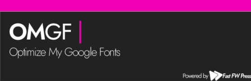OMGF PRO – Speed up Google Fonts, the Right Way 3.7.6 1