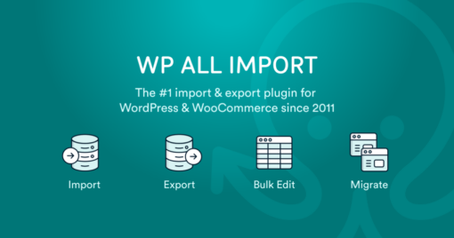 User Import Add-On For WP All Import 1.1.9-beta-1.1 1