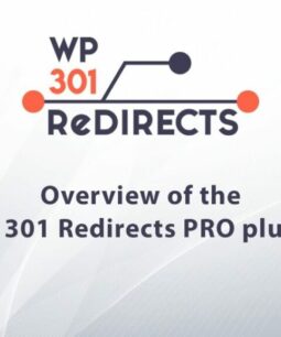 301 redirects pro