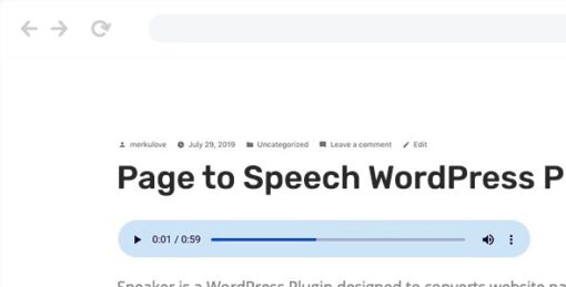 Speaker – Page to Speech Plugin 4.0.13 1