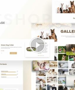 Purrfect - Kit de modelos Elementor para loja de animais de estimação