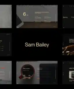 Sam Bailey – Tema WordPress para currículo/CV pessoal 1.1.0