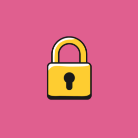 Controlled Admin Access Pro