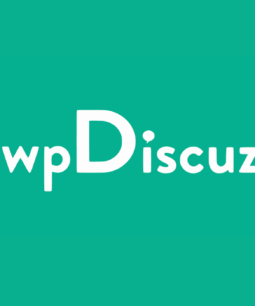 wpDiscuz - Informações do autor do comentário