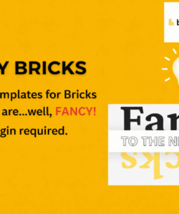 Fancy Bricks