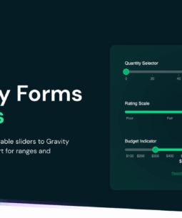 Gravity Forms GP Sliders