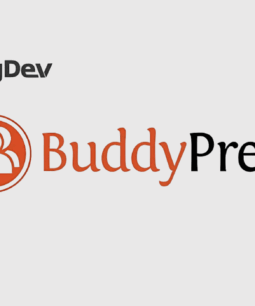 WordPress Restrict Email Domains