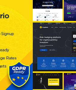 Crypterio - Tema WordPress sobre criptomoedas