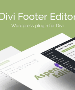 Divi Footer Editor
