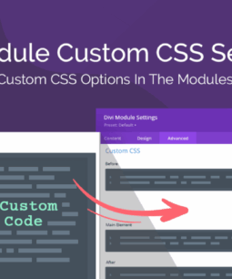 Divi Module Custom CSS Selectors