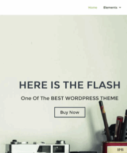 Flash Pro