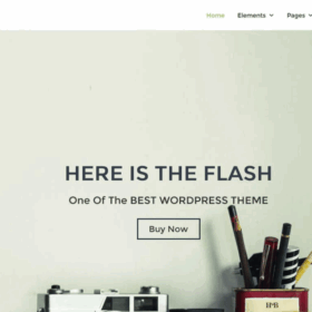 Flash Pro