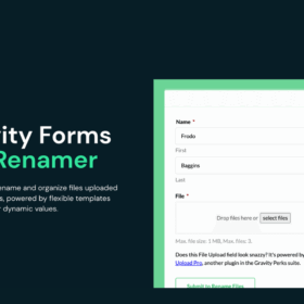 Gravity Forms File Renamer