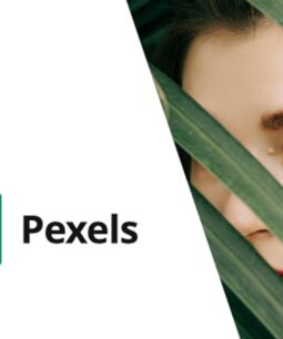 Pexels - Importar imagens de estoque gratuitas para o WordPress