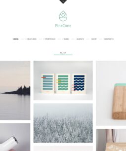 PineCone - Portfólio criativo e blog para agência