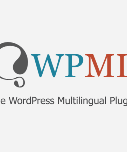 WPML GraphQL