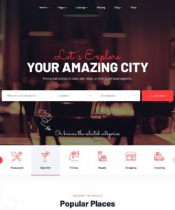 Ziston - Tema WordPress para listagem de diretórios