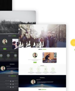 Citrus – One Page WordPress Theme