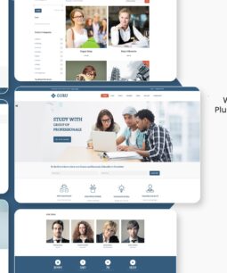 Guru | Sistema de Gestão de Aprendizagem em WordPress